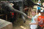 20090417_Half Day Safari - Elephant (30 of 57)