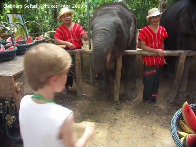 20090417_Half Day Safari - Elephant (45 of 104)