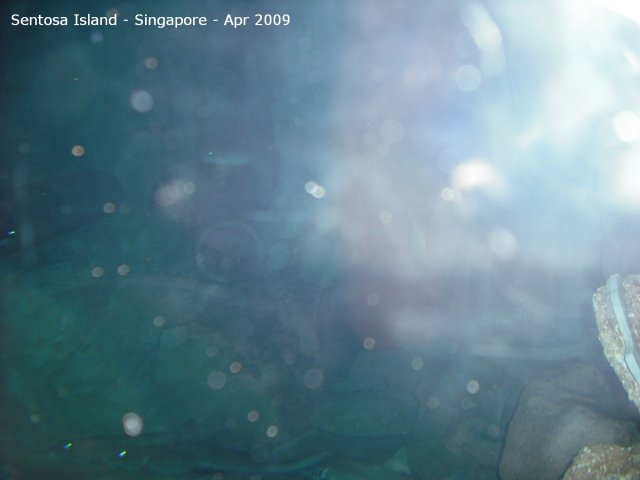 20090422_Singapore-Sentosa Island (25 of 38)