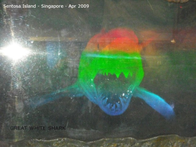 20090422_Singapore-Sentosa Island (26 of 38)