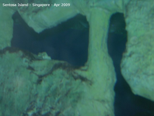 20090422_Singapore-Sentosa Island (34 of 97)