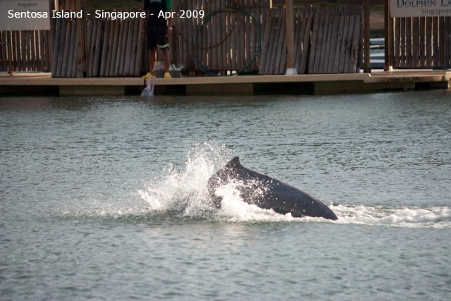 20090422_Singapore-Sentosa Island (72 of 138)