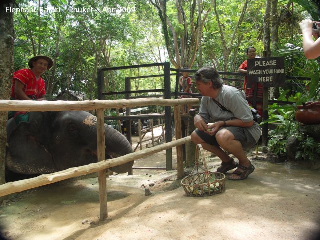 20090417_Half Day Safari - Elephant (85 of 104)