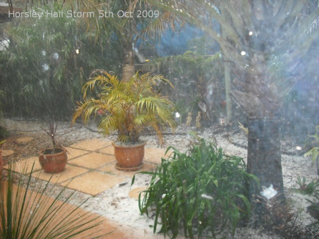 20091005_Hail Storm_03 of 52