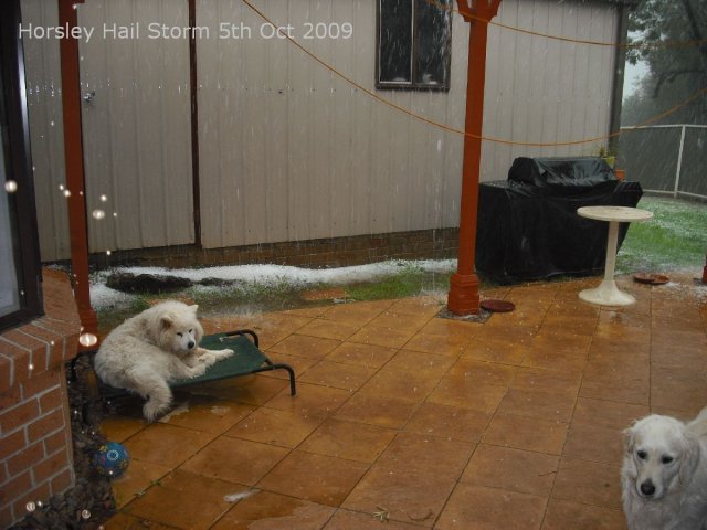 20091005_Hail Storm_04 of 52