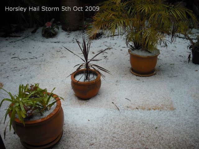 20091006_Hail Storm_21 of 52