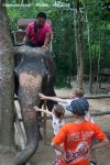 20090417_Half Day Safari - Elephant (38 of 57)