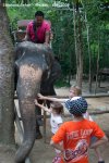 20090417_Half Day Safari - Elephant (39 of 57)