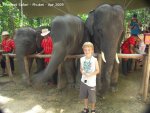 20090417_Half Day Safari - Elephant (43 of 104)