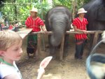 20090417_Half Day Safari - Elephant (49 of 104)