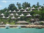 20090420_Phi Phi Island - Maya Bay- Koh Khai (132 of 182)
