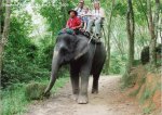 Phuket_Elephant_Ride_01