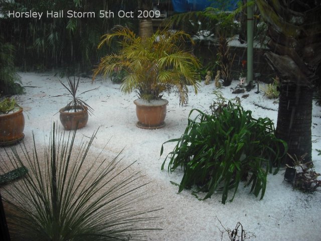 20091005_Hail Storm_06 of 52