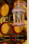 20130703_National Samoyed Show Week - Glenrowan - Winery (9 of 25)_HDR